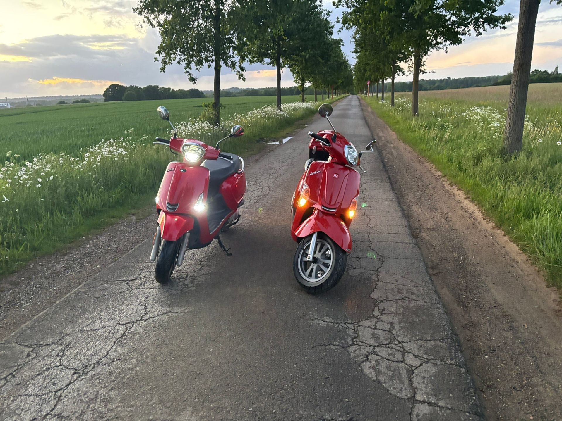 Our Vespa and Kymco fleet